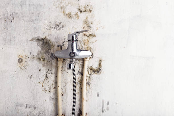 Best Water Damage Restoration  in Cave Creek, AZ