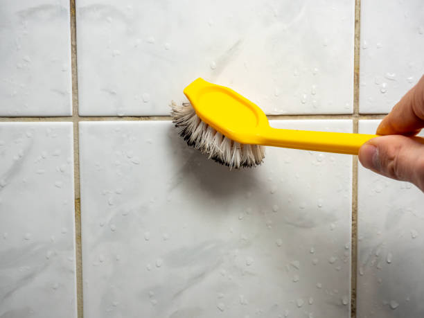 Best Fast Mold Removal  in Cave Creek, AZ
