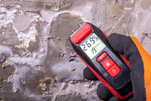 Certified Mold Removal in Cave Creek, AZ