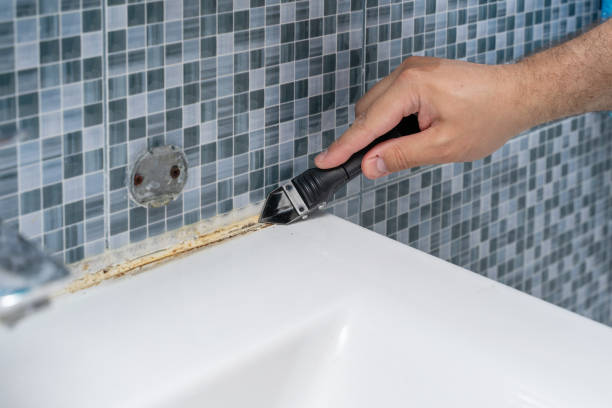 Best Mold Damage Repair  in Cave Creek, AZ